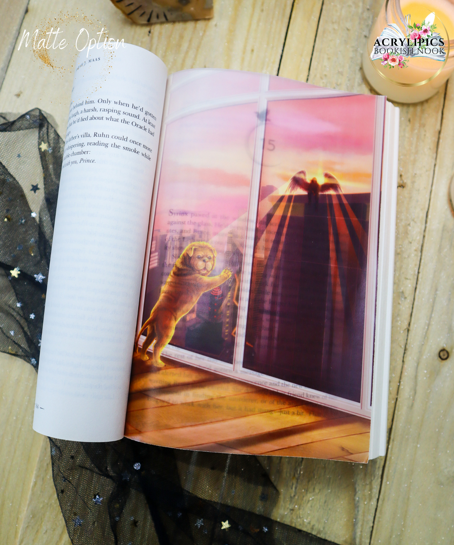 Crescent City House of Earth and Blood Page Overlay FOR US STANDARD PAPERBACK
