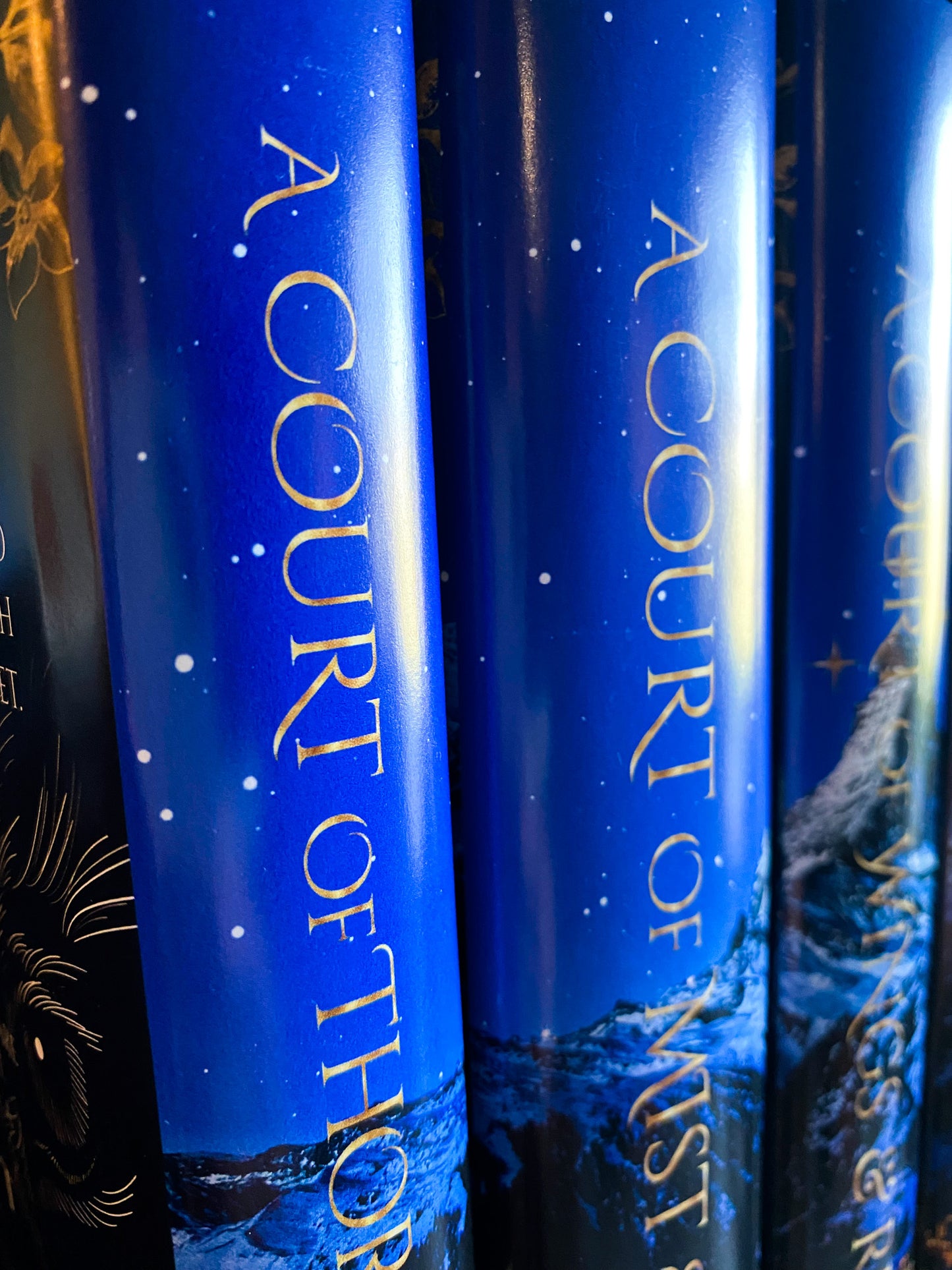Velaris X ACOTAR Special Edition Book Box Set with Velaris Printed Pages