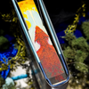 Kith and Kin 3D by Marieke Nijkamp - Critical Role Special Edition - 3D PATENT PENDING TECHNOLOGY - SHIPS BY THE END OF AUGUST
