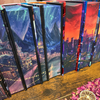 Bundle 2: RAINBOW ACOTAR & CRESCENT CITY (NO ACOTAR OVERLAYS)- Special Edition Series - Early Access Batch 1 (limited): SHIPS BEFORE CHRISTMAS