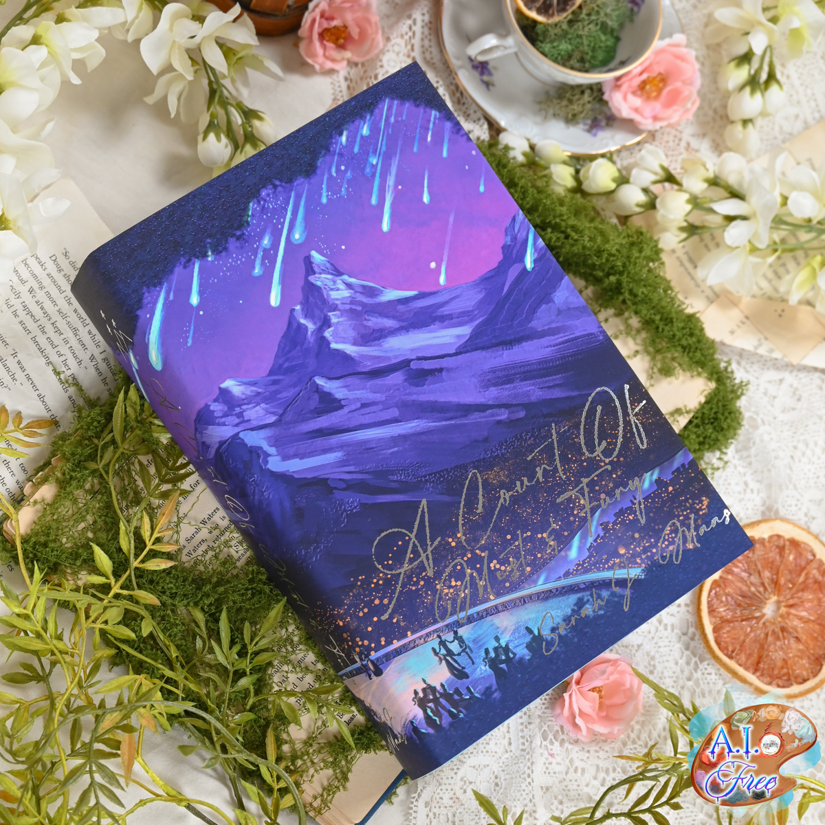 MEGA SALE: ACOTAR Dreamers Special Edition Book Box Set - Bundle #1 (N ...