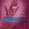 A Court of Thorns and Roses Chapter Overlay Set: FULL SET CH. 1-46