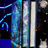 Throne of Glass 3D HARDCOVER Special Edition by Sarah J. Maas - 3D PATENT PENDING TECHNOLOGY - SHIPS NEXT WEEK!!!