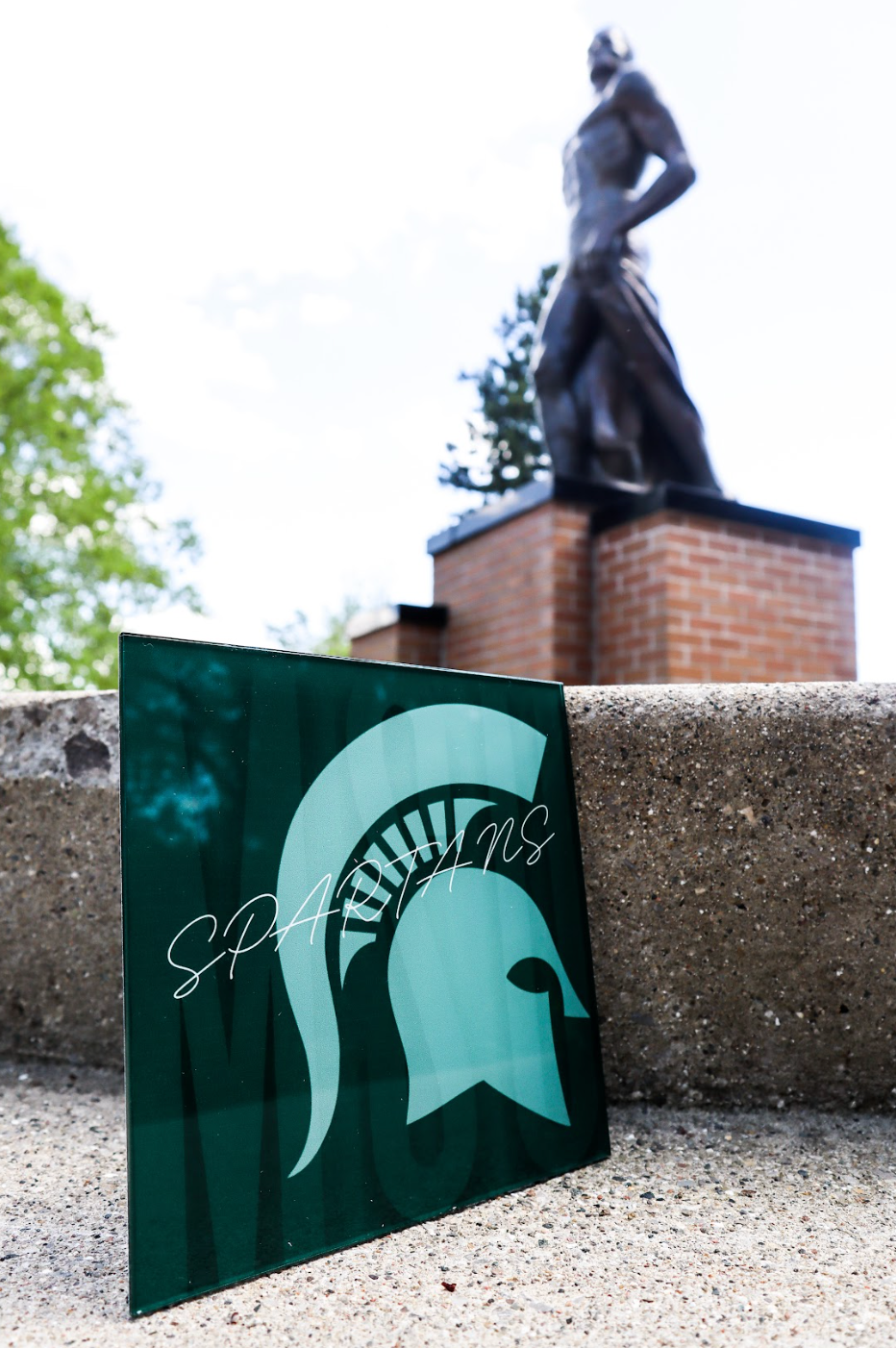 "MSU Spartans" Poster Stickable Acrylic Poster Collegiate Licensed