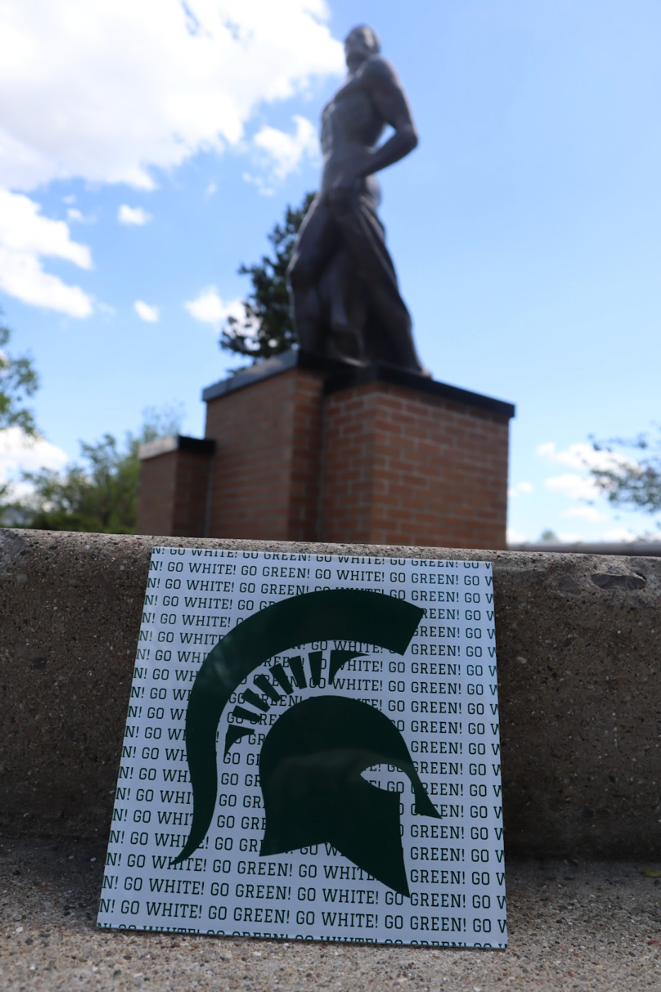 "Go Green! Go White!" Poster - Stickable Acrylic Poster - Collegiate Licensed Product - MSU11