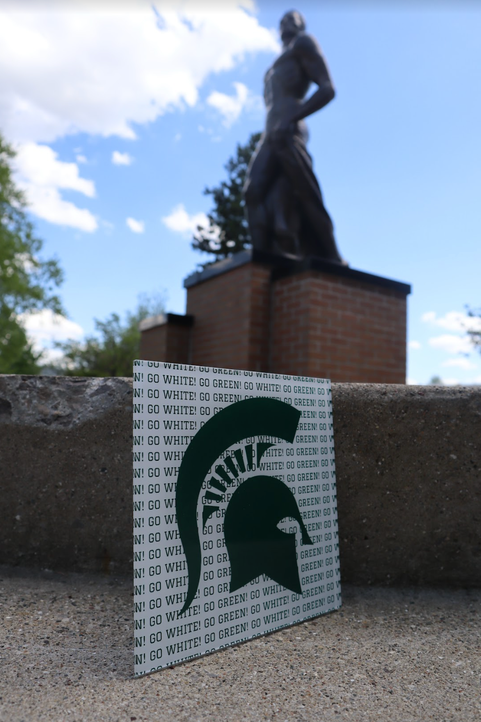 "Go Green! Go White!" Poster - Stickable Acrylic Poster - Collegiate Licensed Product - MSU11