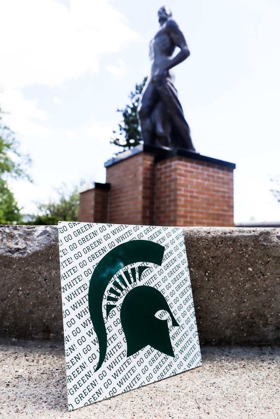 "Go Green! Go White!" Diagonal Poster - Stickable Acrylic Poster - Collegiate Licensed Product - MSU12